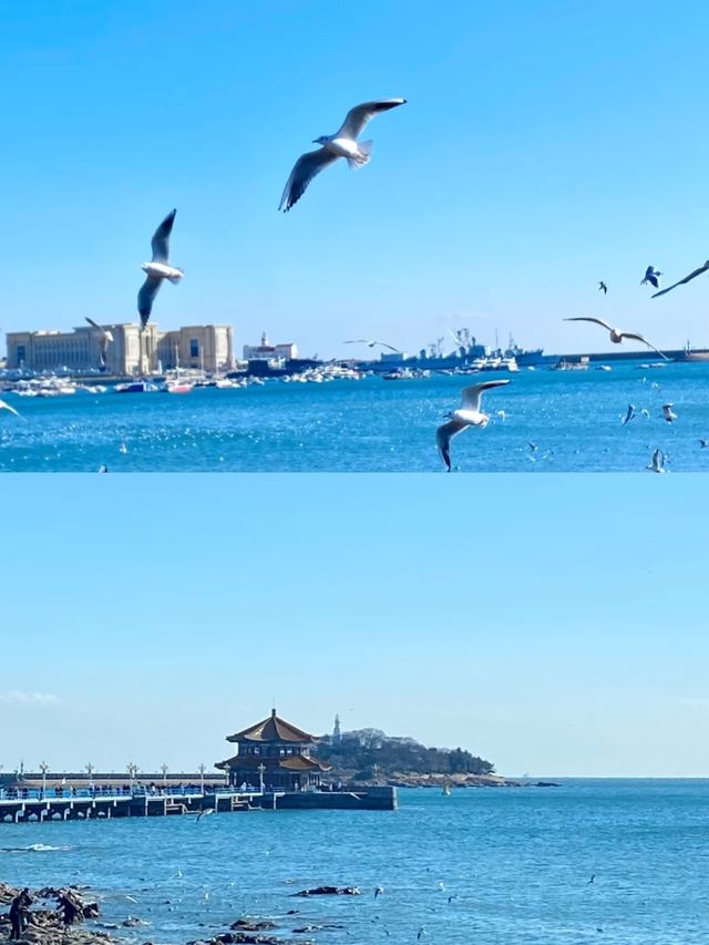 青島第一次來，這些坑千萬別踩！