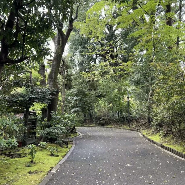 🌧️雨天限定的根津美術館｜在綠意與歷史間尋得寧靜