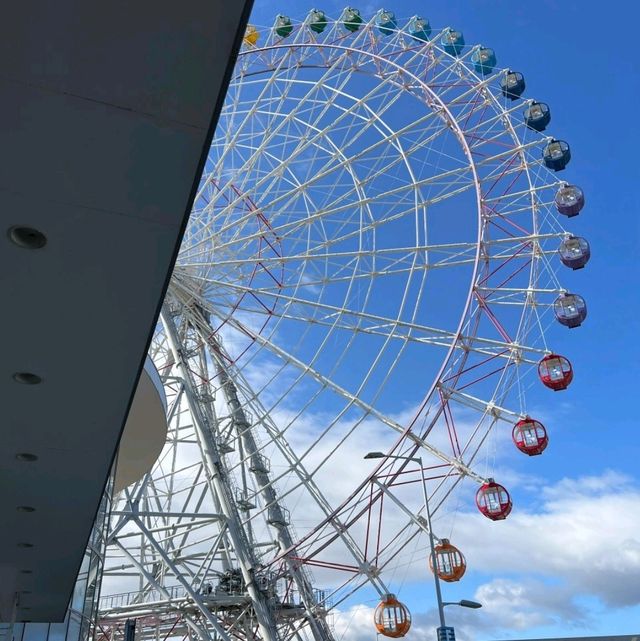 日本｜最後半天衝的景點竟成旅途高光時刻！真的會羨慕住泉佐野的人！！
