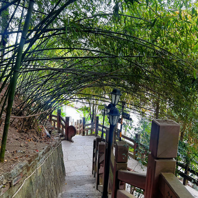 A Quiet Step Into Tujia Culture