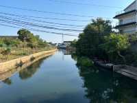 西山島私藏徒步路線｜闖入綠野仙蹤嘅治癒週末