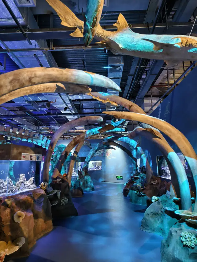 Help! This Giant Whale Exhibit in Xiamen Keeps Kids Entertained for 3 Hours Straight!