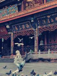 端午邂逅昭覺寺，靜享清幽禪意