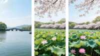 無錫黿頭渚夏日荷塘爆款攻略｜承包整個江南嘅浪漫
