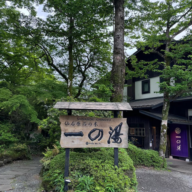🎬東京週邊溫泉動畫分鏡！仙石原品之木一之湯旅館の治愈時光✨