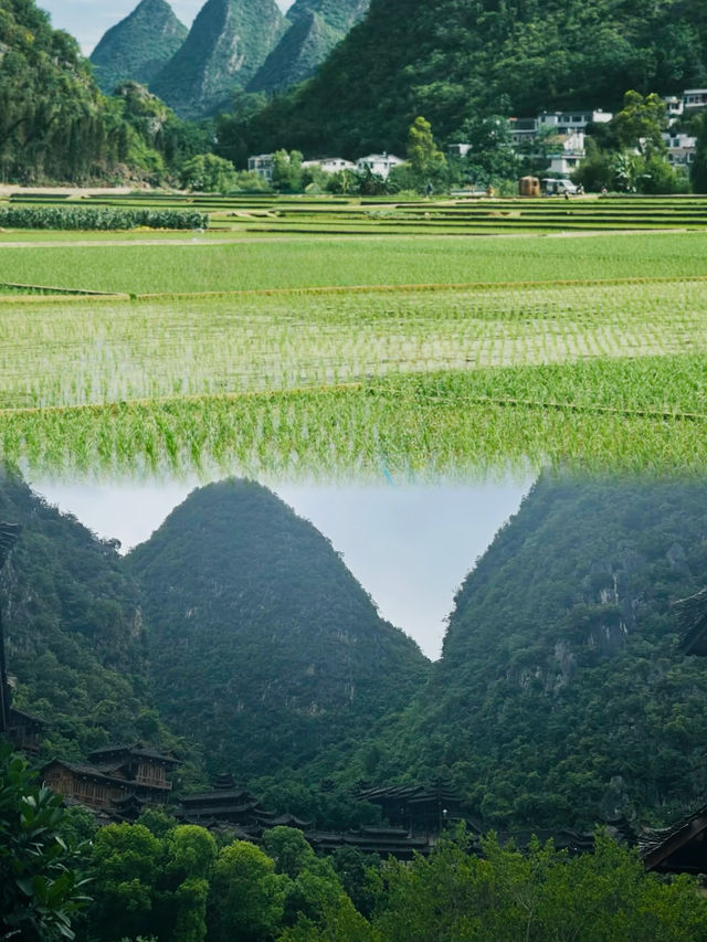 萬峰林旅遊攻略：闖入中國最美喀斯特畫卷