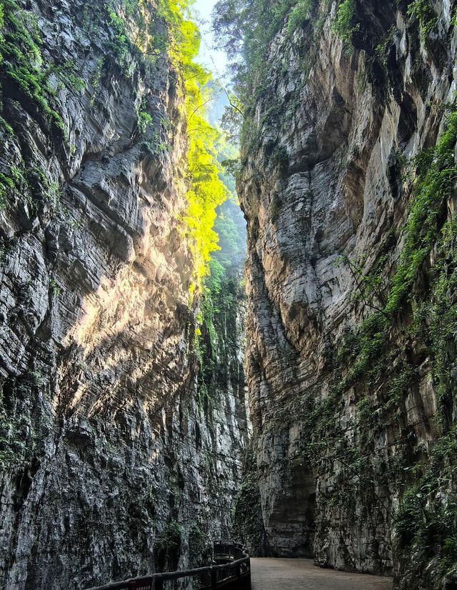 重慶寶藏秘境｜武陵山大裂谷，一眼就心動|||地質奇觀