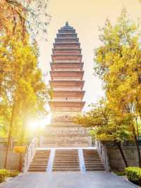 洛陽2日遊｜小長假玩轉古都攻略