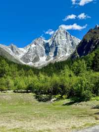 畢棚溝夏日仙境！雪山花海靚到窒息！