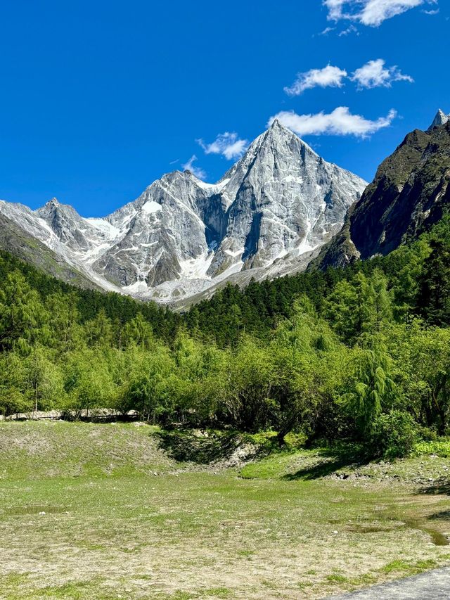 畢棚溝夏日仙境！雪山花海靚到窒息！