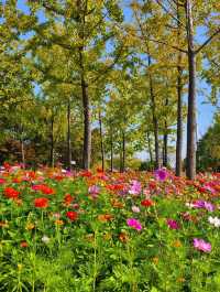 Some places are too peaceful to be famous: Discover a Hidden Gem 40 min from Yiwu