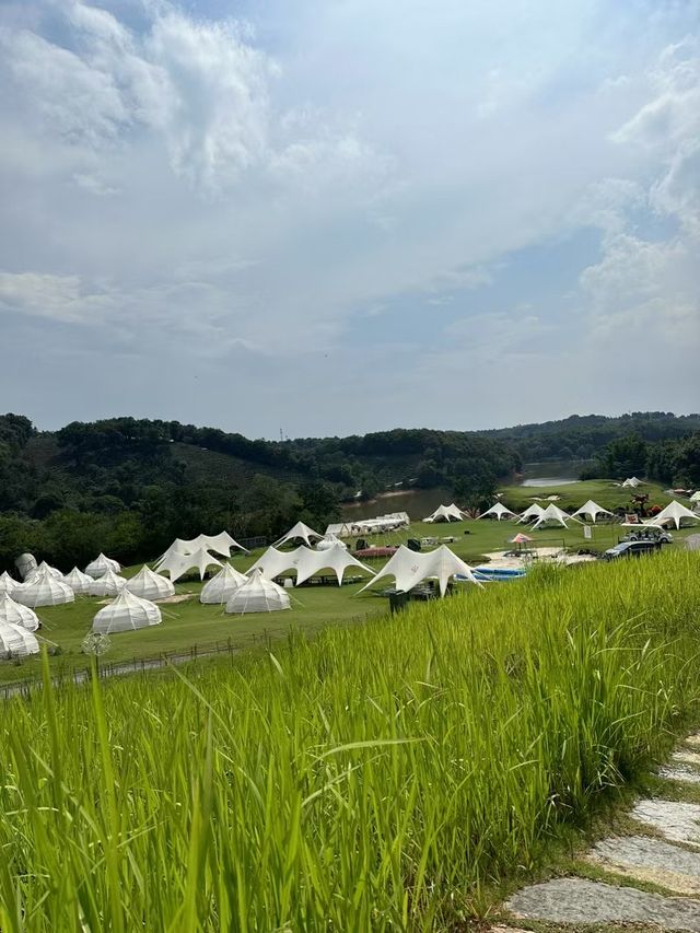 嚟版納就住呢度，體驗爆燈零伏擊