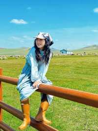 實話雖難聽，但這就是呼倫貝爾旅遊現狀