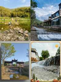 龍山，本地人想「私藏」打卡地。
