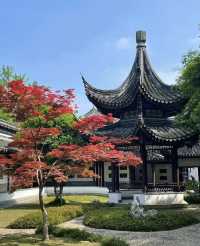 鎮江已去｜真係想講啲真心話