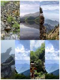 中國最大原始森林——神農架