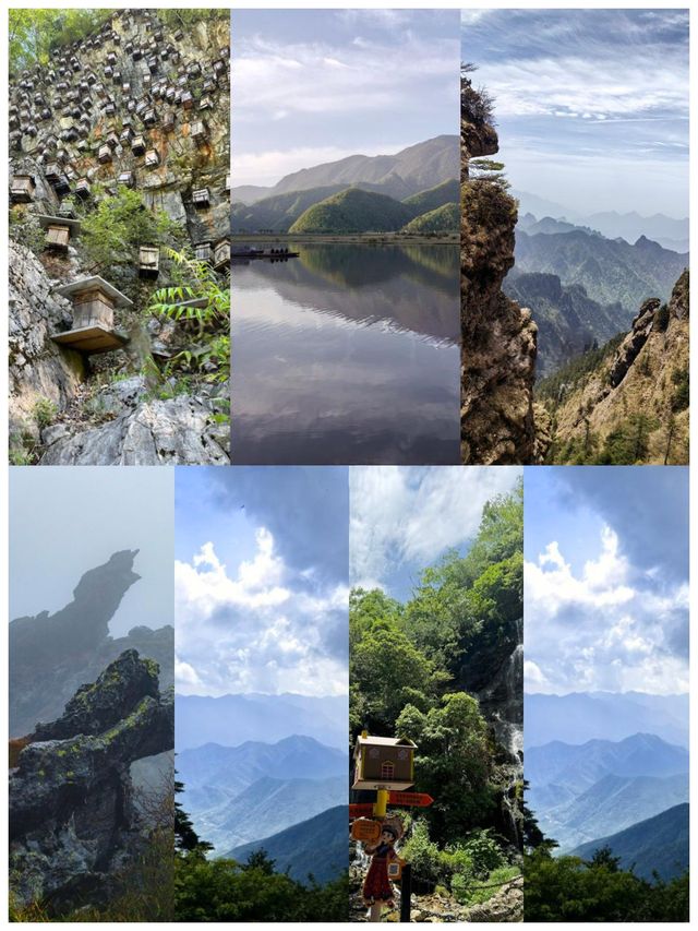 中國最大原始森林——神農架