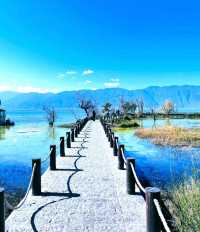 打卡白鹿同款洱海