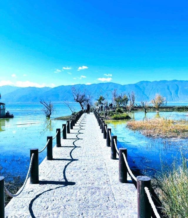 打卡白鹿同款洱海