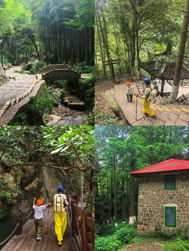 莫干山24H森呼吸沉浸式邂逅雲海日出