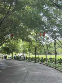 夏日賞荷，感受一份美好與寧靜