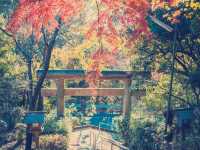 大阪隱世秘境！池田五月山公園絕美自然體驗】**  