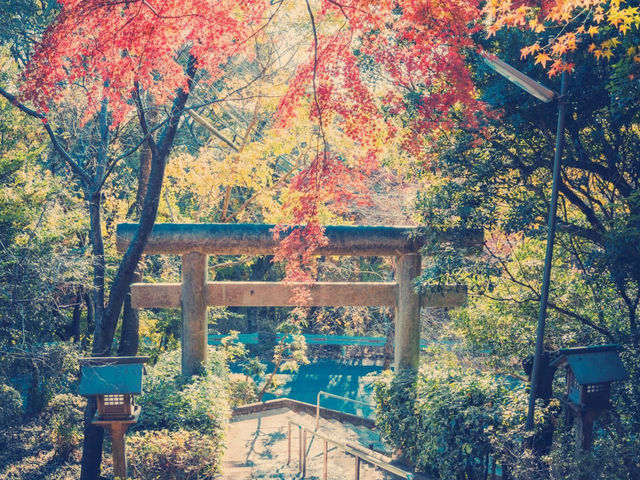 大阪隱世秘境！池田五月山公園絕美自然體驗】**  