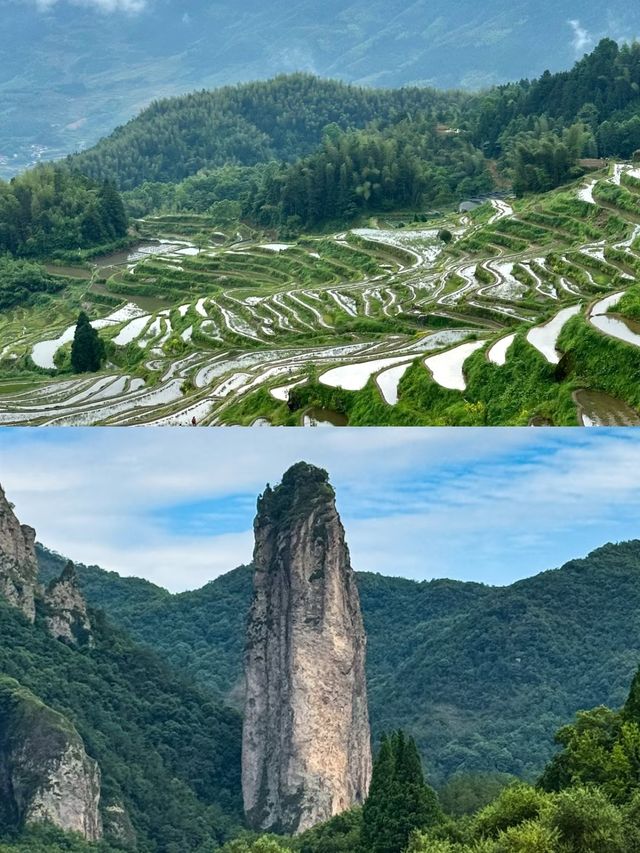 麗水玩咗三日，我嘅消費觀崩塌咗