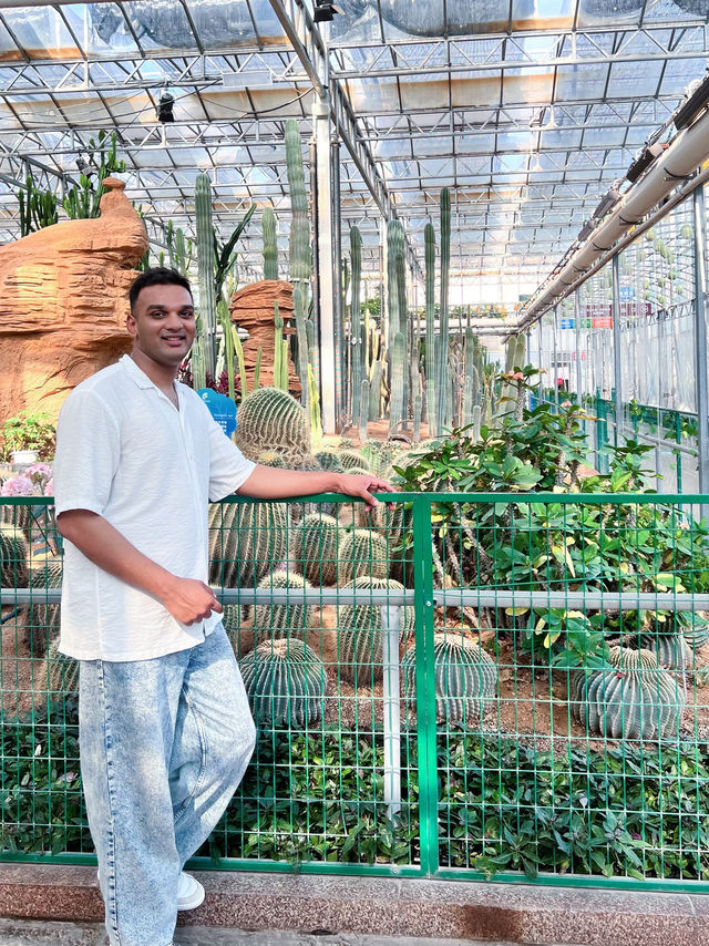✅ Global innovations – See how China leads in smart agriculture!