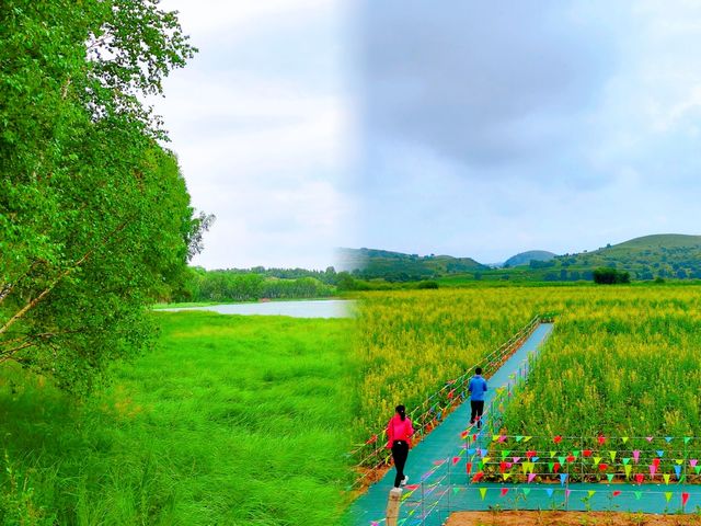 御道口草原森林風景區遊玩攻略！