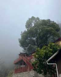 爬山同素齋麵愛好者狂喜！景德鎮冷水尖林間神仙麵館藏唔住啦