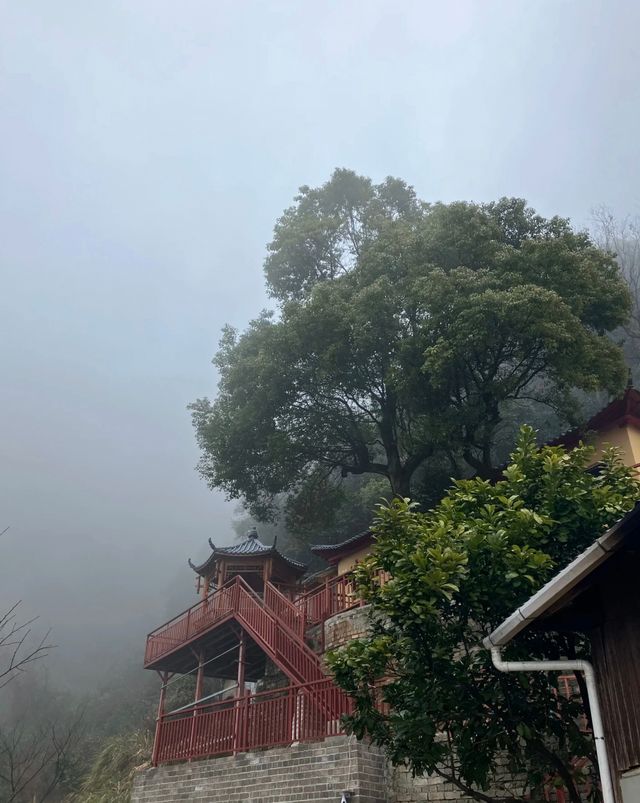 爬山同素齋麵愛好者狂喜！景德鎮冷水尖林間神仙麵館藏唔住啦