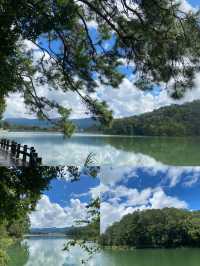 雲南普洱超全攻略｜喺22℃嘅夏天，赴一場咖啡與雨林嘅約會