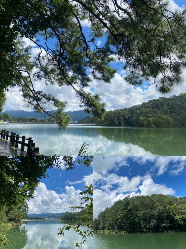 雲南普洱超全攻略｜喺22℃嘅夏天，赴一場咖啡與雨林嘅約會
