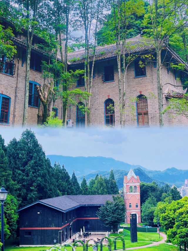 話走就走嘅旅行