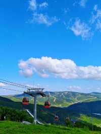 18℃崇禮避暑！北京出發1h鑽進天然冷氣