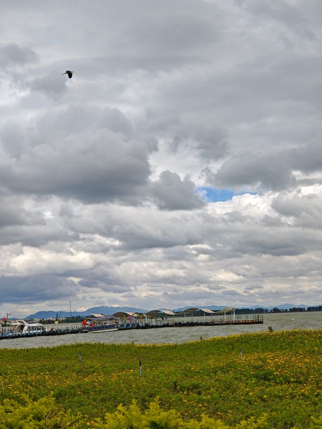 雲南之旅