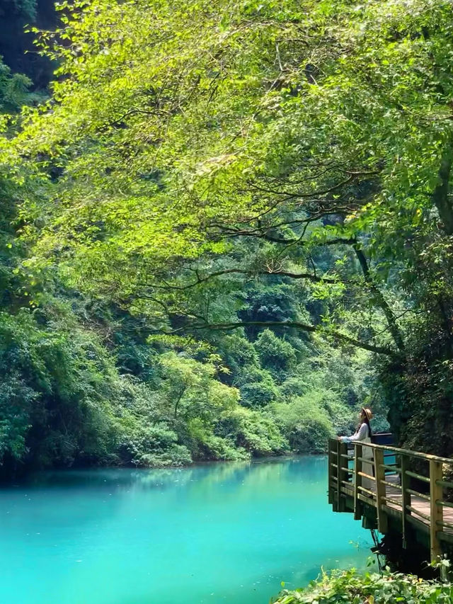 張家界必去峽谷秘境 天生壯觀