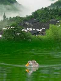 【四明山秘景攻略】江浙滬小眾避暑天堂 99%人都唔知嘅玩法