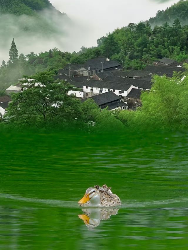 【四明山秘景攻略】江浙滬小眾避暑天堂 99%人都唔知嘅玩法