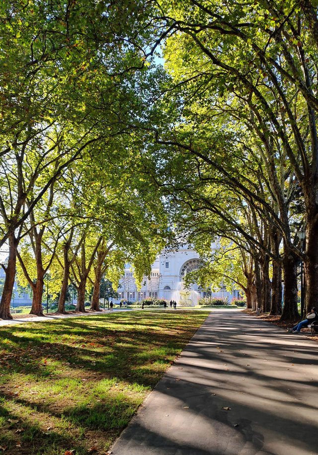 A Serene Stroll Through Carlton Gardens A Serene Stroll Through Carlton Gardens