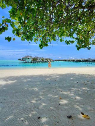 An Unforgettable Stay at Villa Park Sun Island