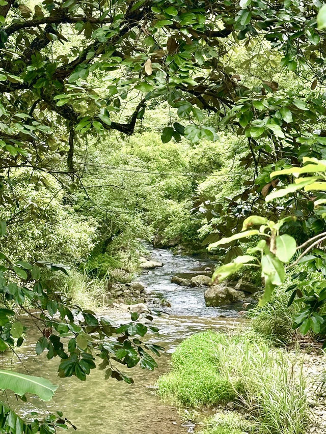 碧水幽谷，溪源峽谷的自然絮語