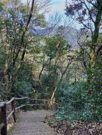 山寺雲深處——莆田瑞雲山風景區