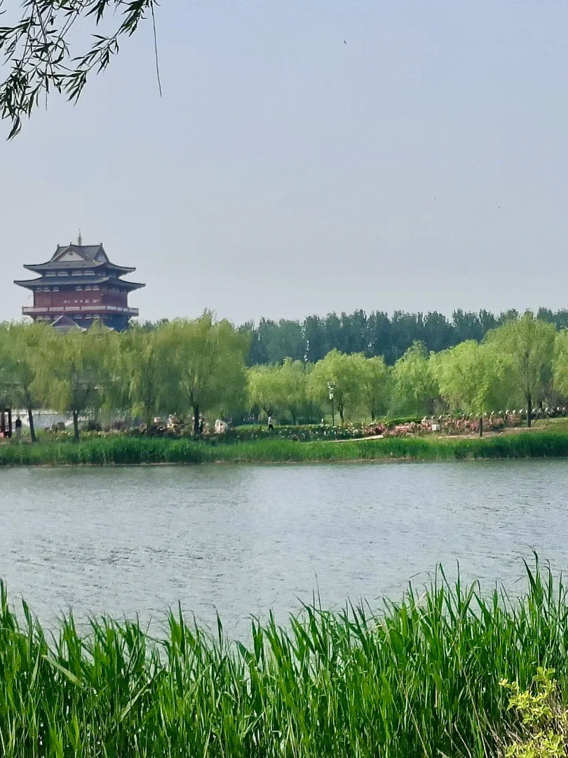 湖畔の清風、都市の詩と遠い風景：阜城湖エコロジー風景区
