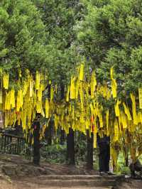 神農架雲海仙境指南