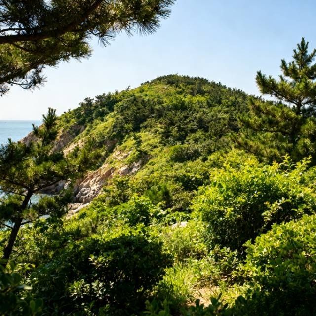 藏在威海的海上桃花源！懸崖咖啡與漁村煙火都藏在這裡
