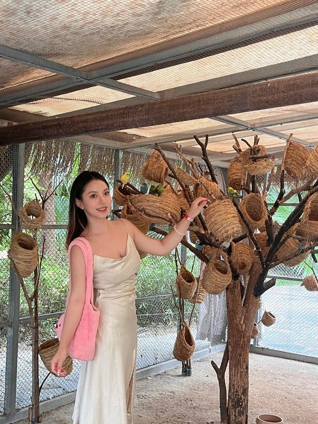 國慶溜娃度假雙buff碼住寶藏度假聖地