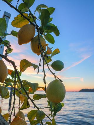 A Stunning Sunset Guide to the Italian-Style Town