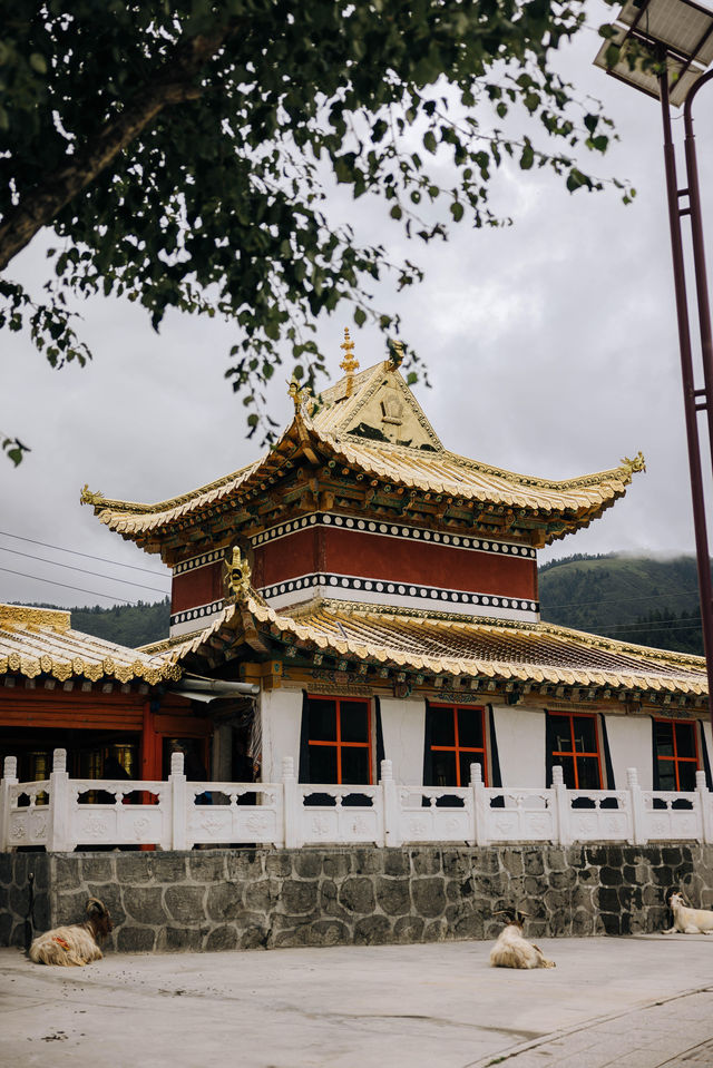 甘南拉卜楞寺很值得